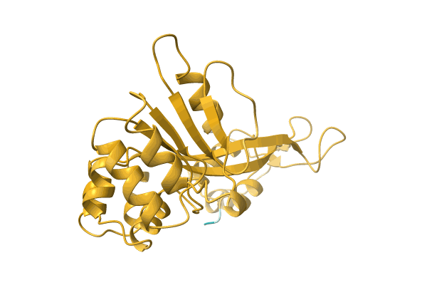 AF-A0A4Q3ZJU5-F1 image