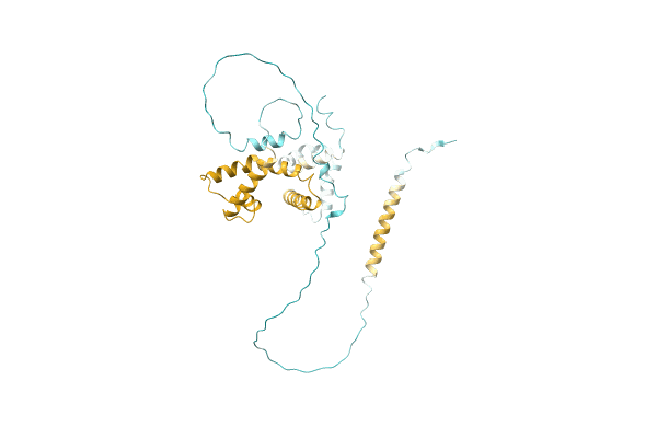 AF-A0A4Q4VMJ0-F1 image