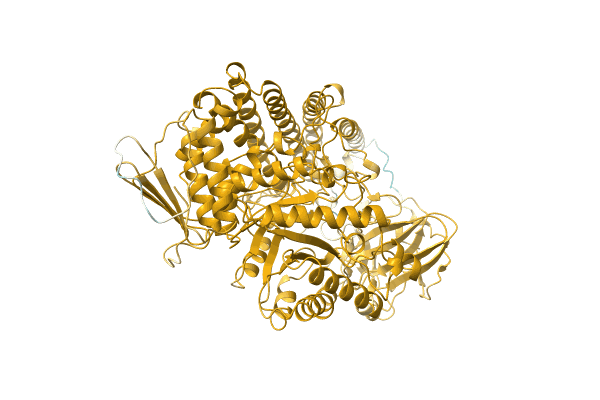 AF-A0A4Q5DJ98-F1 image