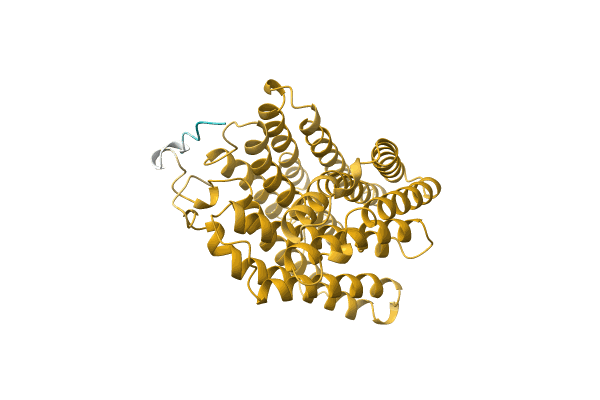 AF-A0A4Q5MGI8-F1 image