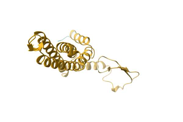 AF-A0A4Q5Y746-F1 image