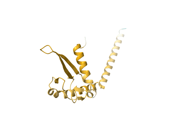 AF-A0A4Q5ZGM4-F1 image