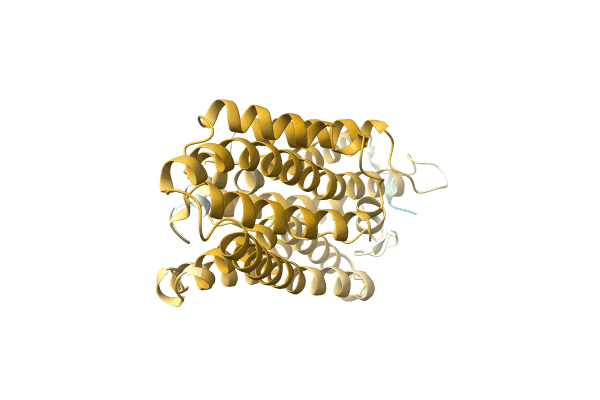 AF-A0A4Q7T5G5-F1 image