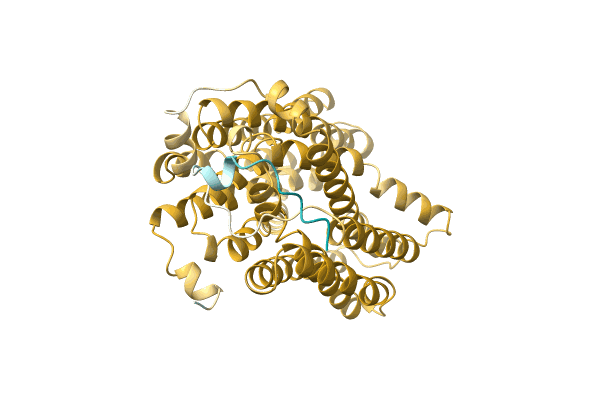 AF-A0A4Q7T5G9-F1 image