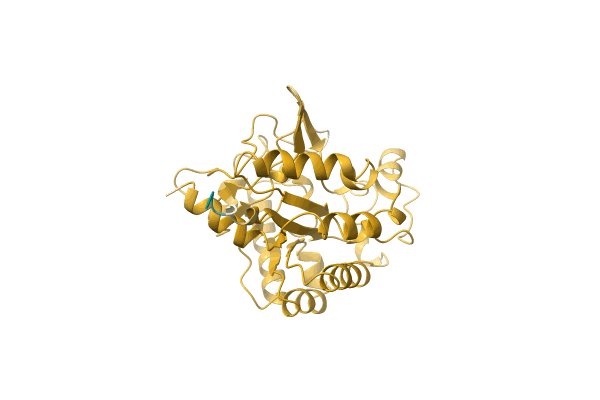 AF-A0A4Q7T5H1-F1 image