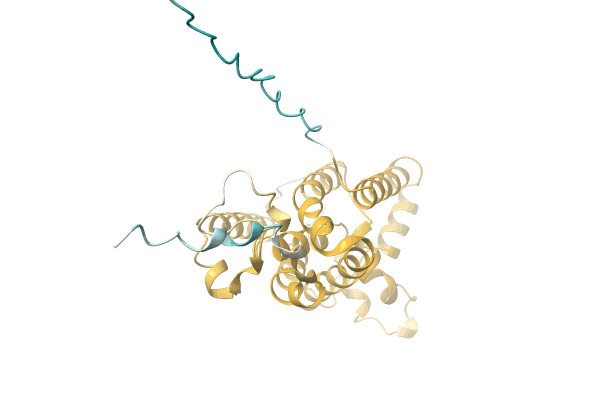 AF-A0A4Q7T5I5-F1 image