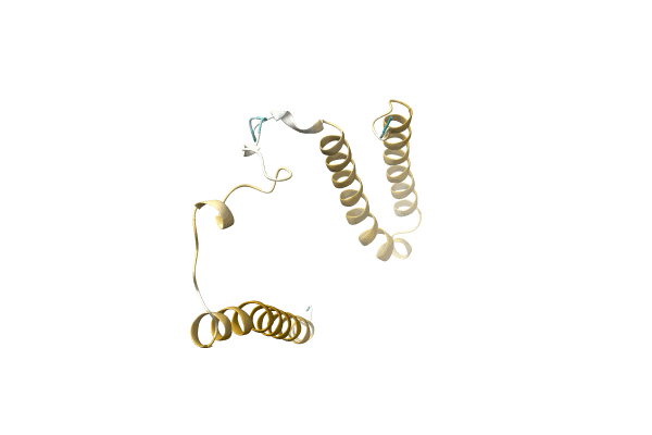 AF-A0A4Q7T5N9-F1 image