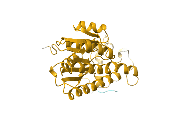 AF-A0A4Q7T5Q5-F1 image