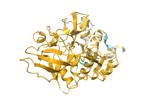 AF-A0A4Q7T5S1-F1 image