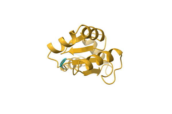 AF-A0A4Q7T5T3-F1 image