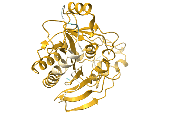 AF-A0A4Q7T7K5-F1 image