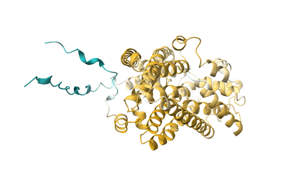 AF-A0A4Q7T9Q0-F1 image