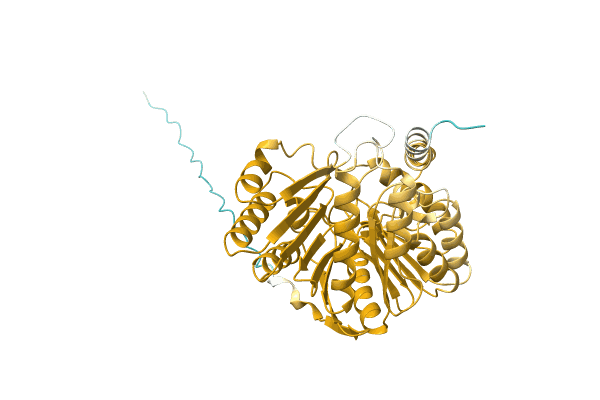 AF-A0A4Q7T9U0-F1 image