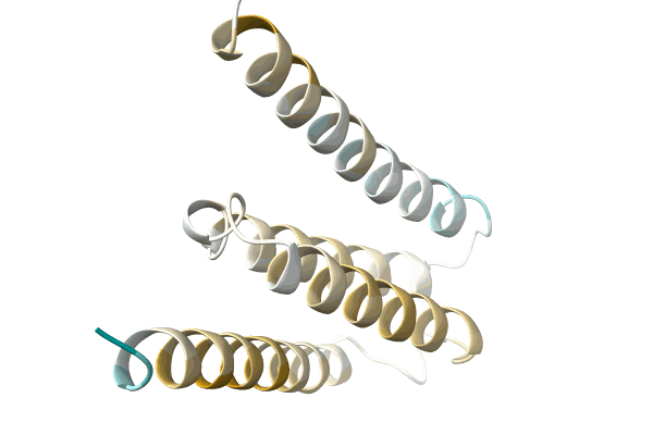 AF-A0A4Q7YEA8-F1 image