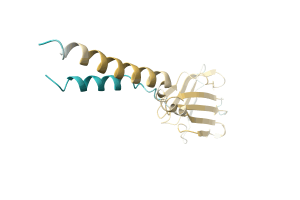 AF-A0A4Q7YEC5-F1 image