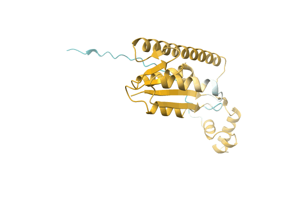 AF-A0A4Q7YHA8-F1 image