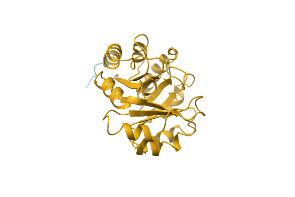 AF-A0A4Q7YT47-F1 image