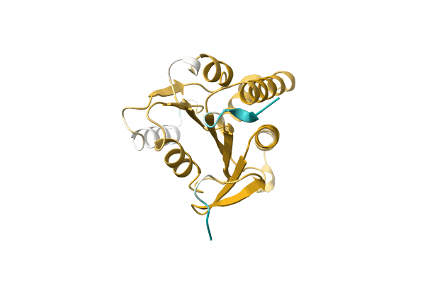 AF-A0A4Q7YT48-F1 image