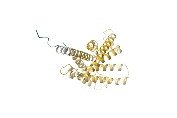 AF-A0A4Q7YW98-F1 image