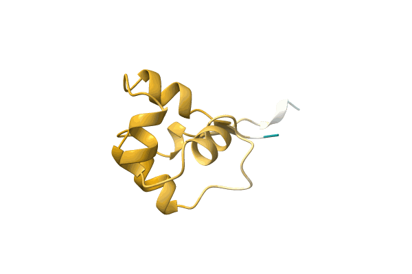 AF-A0A4Q8LZH7-F1 image