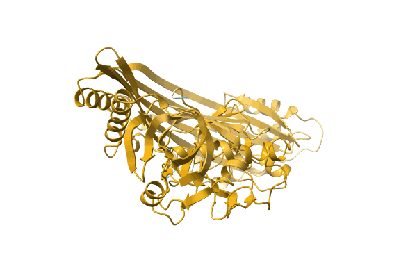 AF-A0A4Q8LZI7-F1 image