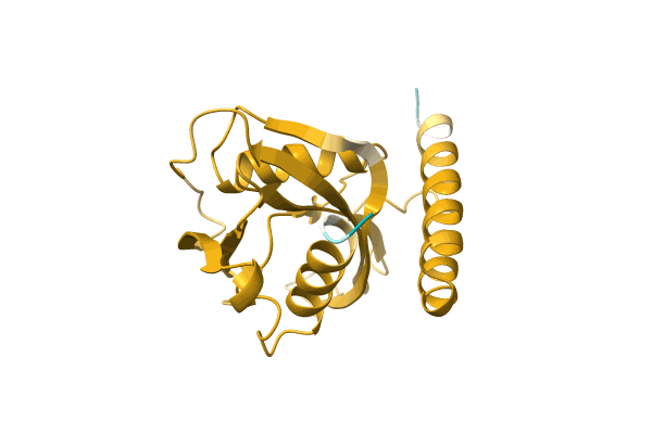 AF-A0A4Q8LZJ1-F1 image