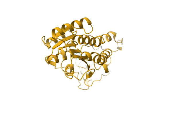 AF-A0A4Q8LZJ4-F1 image