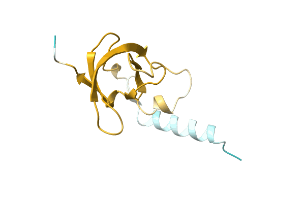 AF-A0A4Q8LZK4-F1 image