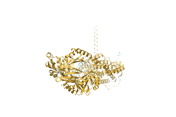 AF-A0A4Q8LZM5-F1 image