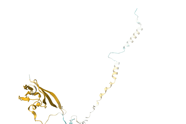 AF-A0A4Q8M328-F1 image