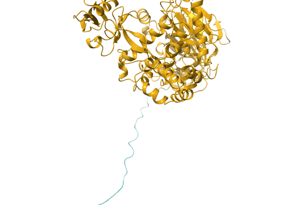 AF-A0A4Q8M330-F1 image