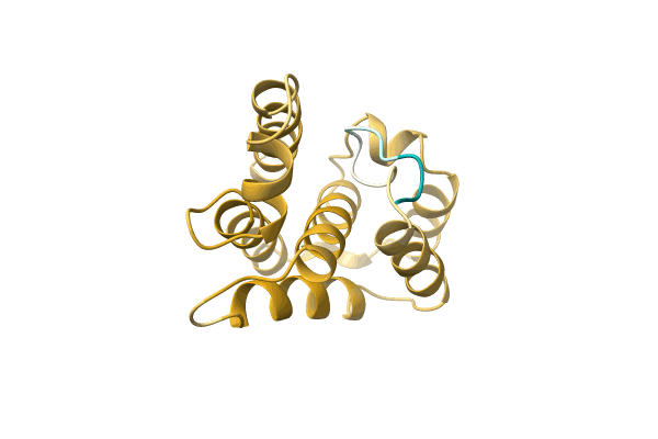 AF-A0A4Q8M3E2-F1 image