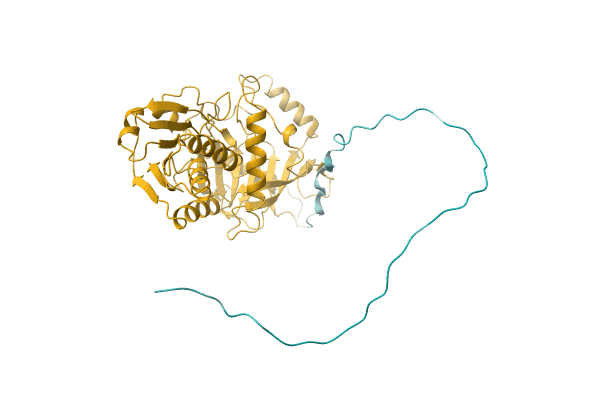 AF-A0A4Q8M6V8-F1 image