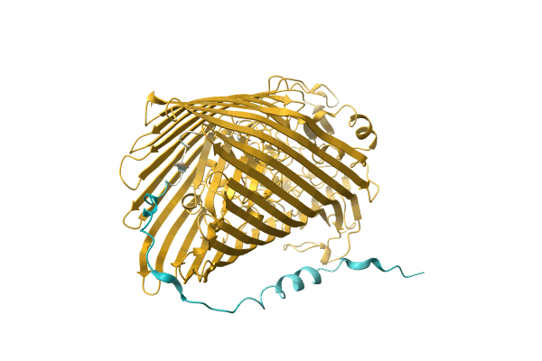 AF-A0A4Q8M6X4-F1 image