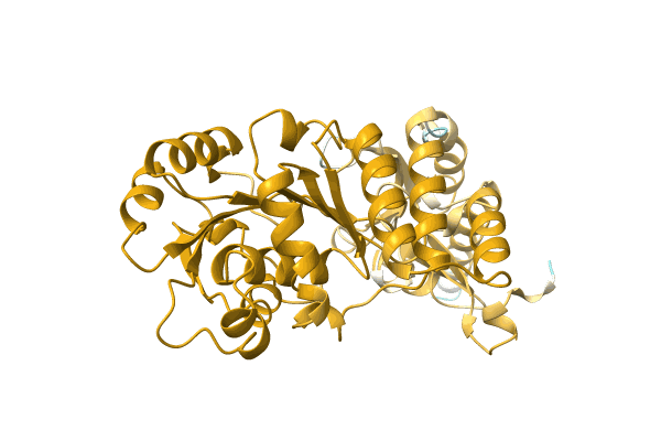 AF-A0A4Q9EMT9-F1 image