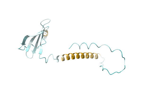 AF-A0A4Q9G9C7-F1 image