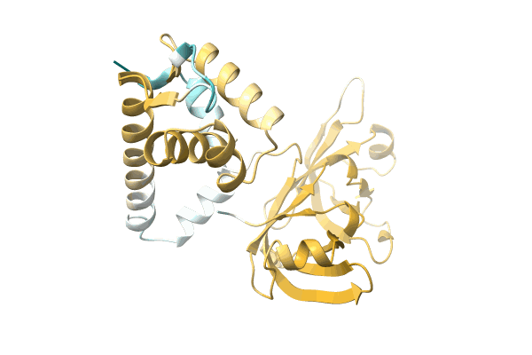 AF-A0A4Q9G9D3-F1 image