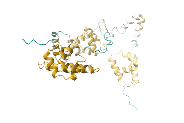 AF-A0A4Q9G9D6-F1 image