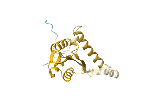 AF-A0A4Q9GCL7-F1 image