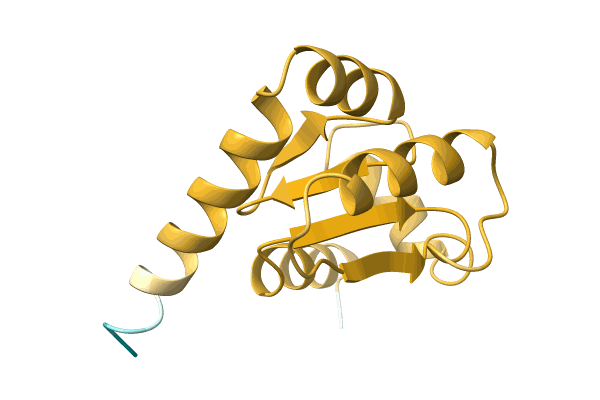 AF-A0A4Q9GCL8-F1 image