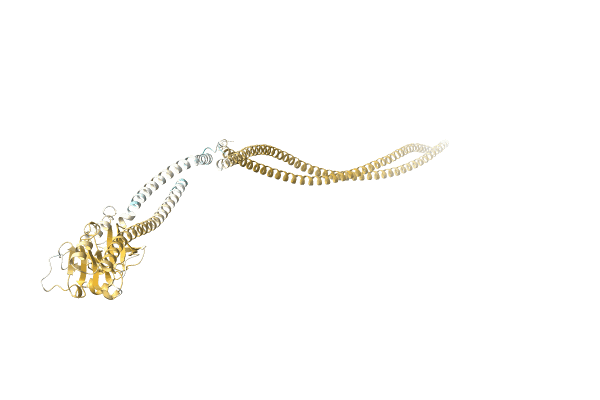 AF-A0A4Q9GCM4-F1 image