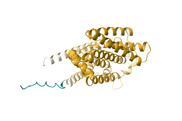 AF-A0A4Q9GCM5-F1 image