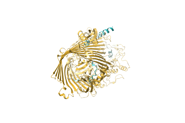 AF-A0A4R4I4E9-F1 image