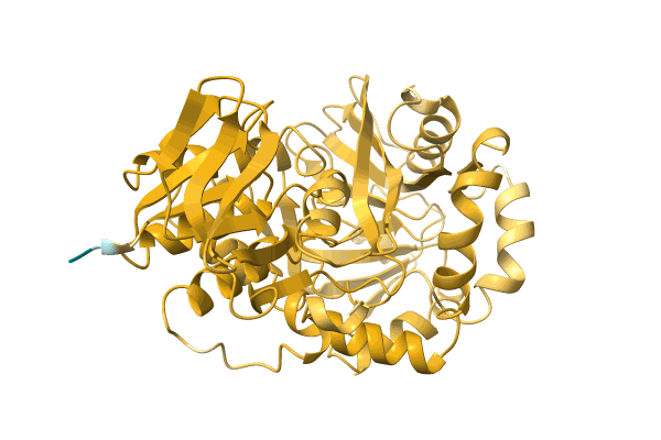 AF-A0A4S4NFH8-F1 image