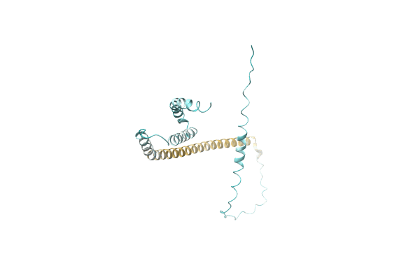 AF-A0A4S4NFV2-F1 image