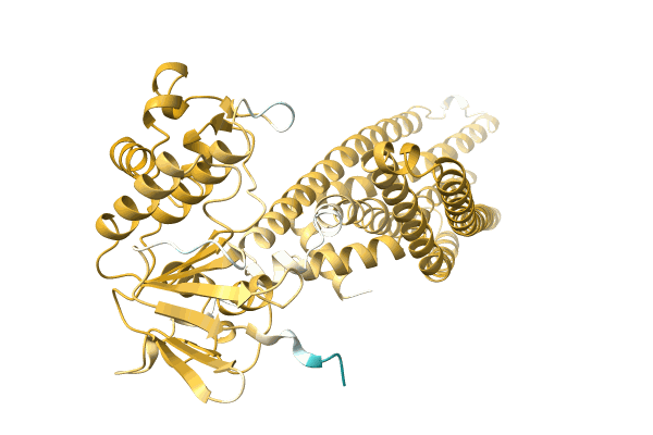 AF-A0A4S4NFW5-F1 image