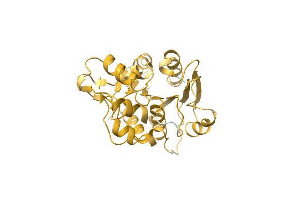 AF-A0A4S4NG27-F1 image