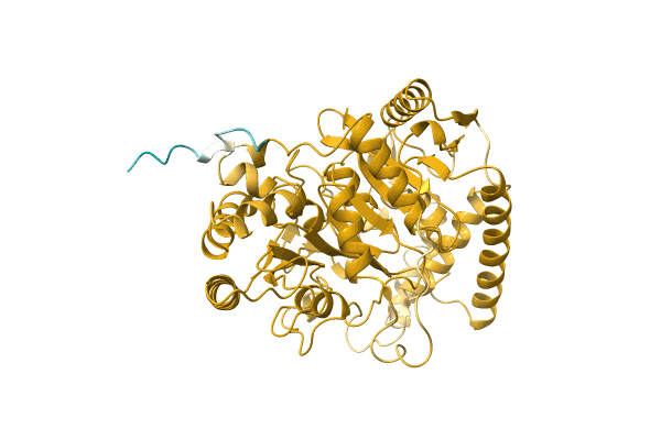 AF-A0A4S4NGA2-F1 image