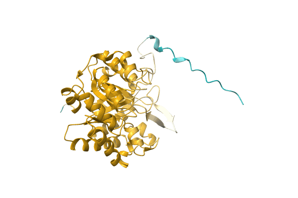 AF-A0A4S4NGC5-F1 image