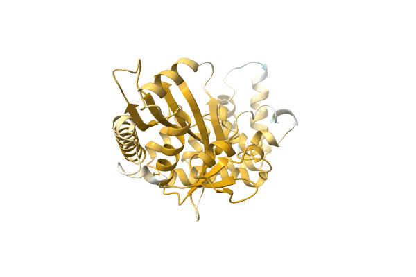 AF-A0A4S5CLQ2-F1 image